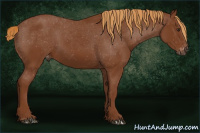 Horse Color:Gray Chestnut Varnish