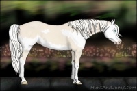 Horse Color:Cremello Splash  and Cremello Splash 