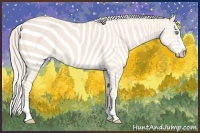 Horse Color:Cremello Splash  and Cremello Splash 