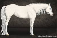 Horse Color:Cremello Splash  and Cremello Dun Splash 