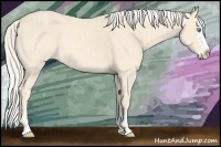 Horse Color:Cremello Splash  and Cremello Splash 