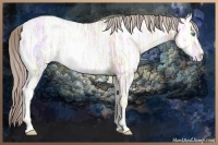 Horse Color:Chocolate Palomino Ice Pearl 