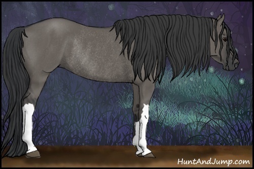 Horse Color:Grullo Rabicano 