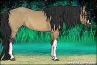 Horse Color:Brown Dun 