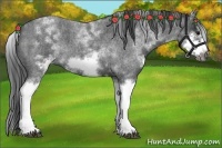 Horse Color:White Spotted Blue Roan Splash Frame