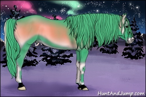 Horse Color:Watercolor Blue Onyx 