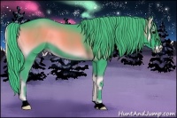 Horse Color:Watercolor Blue Onyx