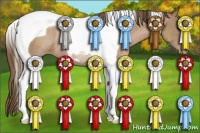 Horse Color:Black Pearl Tobiano Rabicano