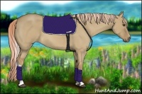 Horse Color:Palomino Roan Dun Tobiano 