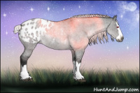Horse Color:Gray Silver Grullo Chinchilla Roan Splash Appaloosa 