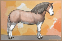 Horse Color:Gray Silver Grullo Chinchilla Roan Splash 