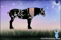 Horse Color:Gray Blue Chinchilla Roan Tobiano Leopard 