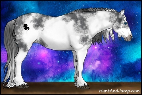 Horse Color:White Spotted Blue Roan Splash Frame Varnish 