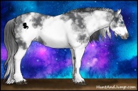 Horse Color:White Spotted Blue Roan Splash Frame Varnish