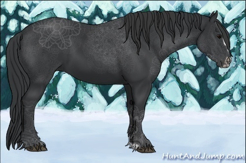 Horse Color:Black Frame 