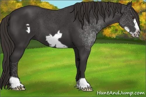 Horse Color:Liver Chestnut Frame 