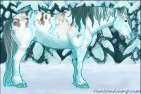 Horse Color:Thunderstruck White Spotted Brown Ice Sabino Splash Blanket
