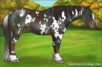 Horse Color:White Spotted Liver Chestnut Varnish 
