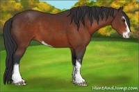 Horse Color:Brown Sabino