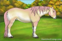 Horse Color:Watercolor Red Onyx 
