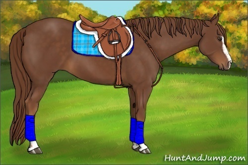 Horse Color:Chestnut Sabino