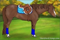 Horse Color:Chestnut Sabino