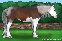 Horse Color:Brown Splash 