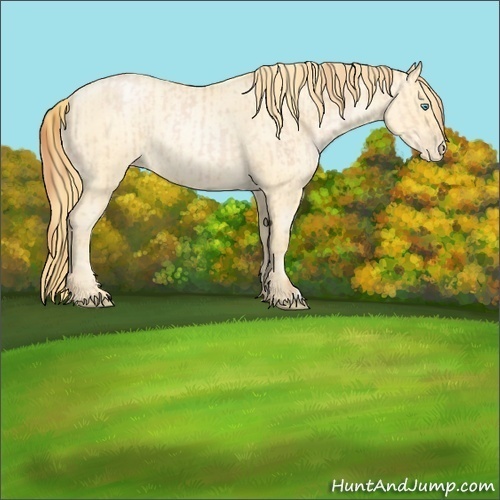 Horse Color:Buckskin Roan Pearl and Buckskin Roan Pearl