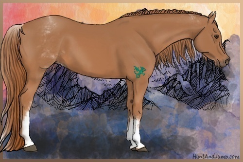 Horse Color:White Spotted Chestnut 