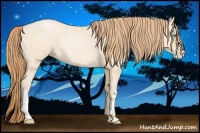 Horse Color:Buckskin Roan Pearl and Buckskin Roan Pearl