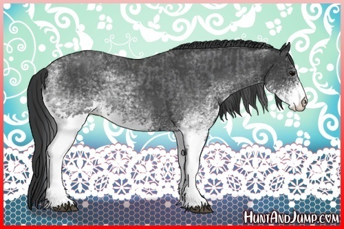 Horse Color:White Spotted Blue Roan Rabicano  and White Spotted Blue Roan Rabicano 