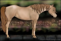 Horse Color:Liver Chestnut Pearl