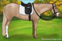 Horse Color:Liver Chestnut Pearl