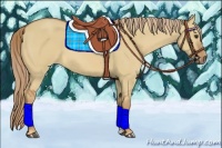 Horse Color:Red Dun 