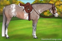 Horse Color:White Spotted Bay Roan Splash Varnish 