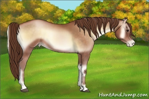 Horse Color:Brown Pearl Onyx