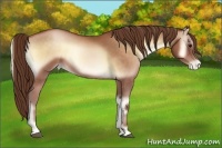 Horse Color:Brown Pearl Onyx 