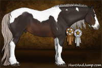 Horse Color:Gray Silver Brown Splash Tobiano 