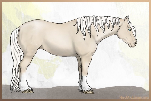 Horse Color:White Spotted Silver Smoky Black Pearl