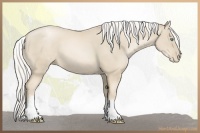 Horse Color:White Spotted Silver Smoky Black Pearl 