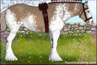 Horse Color:White Spotted Chocolate Palomino