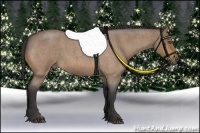 Horse Color:Buckskin Roan 