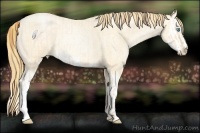 Horse Color:Buckskin Roan Pearl and Buckskin Roan Pearl Splash