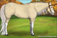 Horse Color:Silver Classic Champagne Dun Splash 