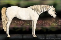 Horse Color:Buckskin Roan Pearl and Buckskin Roan Pearl Frame