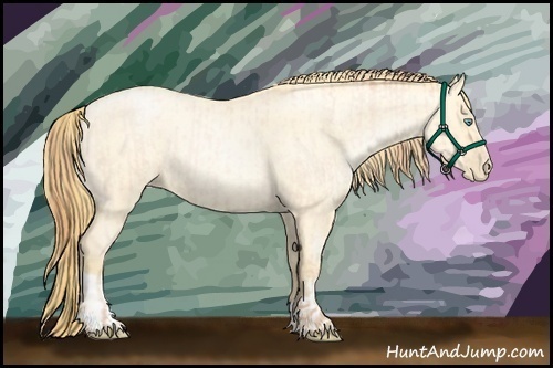 Horse Color:Buckskin Roan Pearl  and Buckskin Roan Pearl Dun 