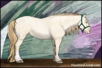 Horse Color:Buckskin Roan Pearl and Buckskin Roan Pearl Dun