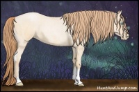 Horse Color:Buckskin Roan Pearl  and Buckskin Roan Pearl 