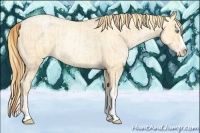 Horse Color:Buckskin Roan Pearl  and Buckskin Roan Pearl Splash 