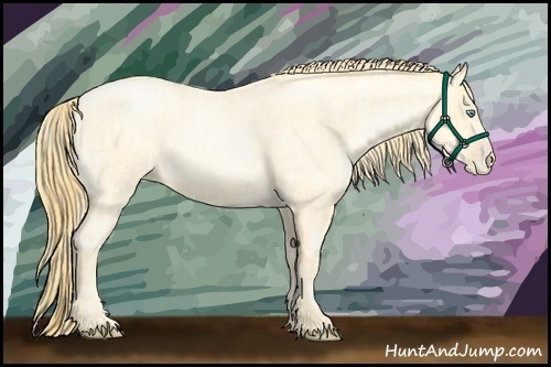 Horse Color:Buckskin Roan Pearl and Buckskin Roan Pearl